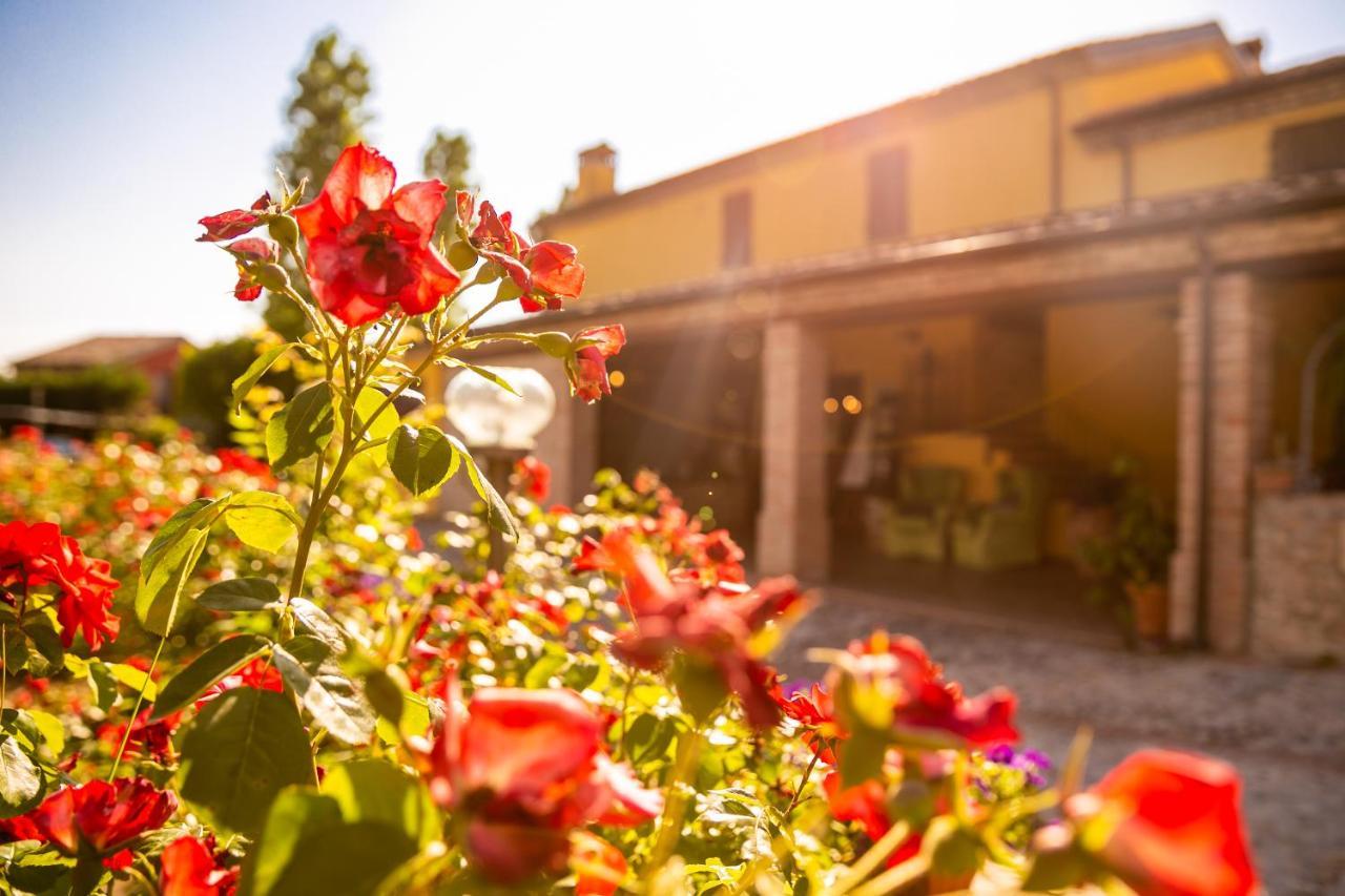 Il Podere Del Germano Reale Hotel Coriano Exterior photo